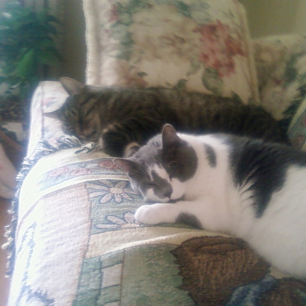 Meet your Posher, Kathleen